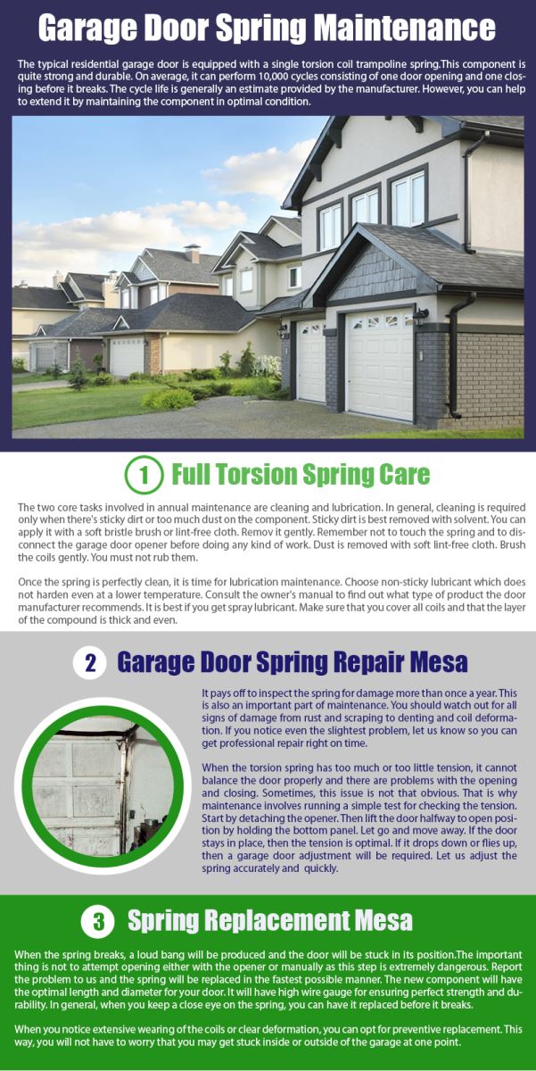 Garage Door Repair Mesa Infographic